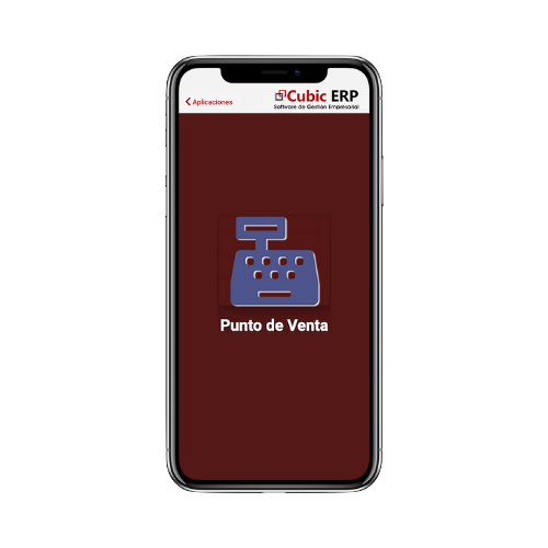 Cubic ERP RUS Tienda